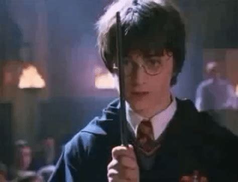 gif harry potter|Harry Potter Universe GIF Collection